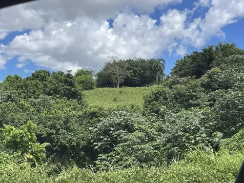 Camino Entrada Al Lago San Juan PR 00926