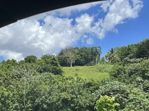 Camino Entrada Al Lago San Juan PR 00926