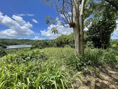 Camino Entrada Al Lago San Juan PR 00926