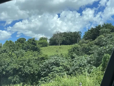 Camino Entrada Al Lago San Juan PR 00926