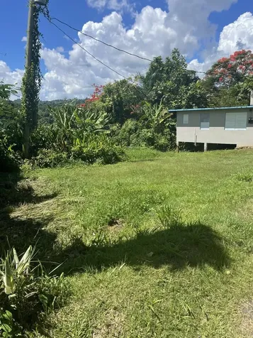 Camino Entrada Al Lago San Juan PR 00926