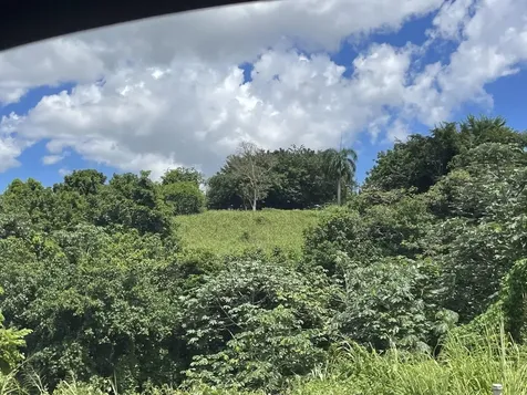 Camino Entrada Al Lago San Juan PR 00926