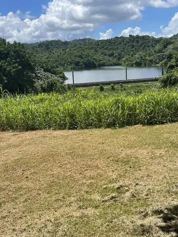 Camino Entrada Al Lago San Juan PR 00926