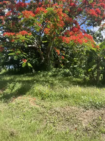 Camino Entrada Al Lago San Juan PR 00926