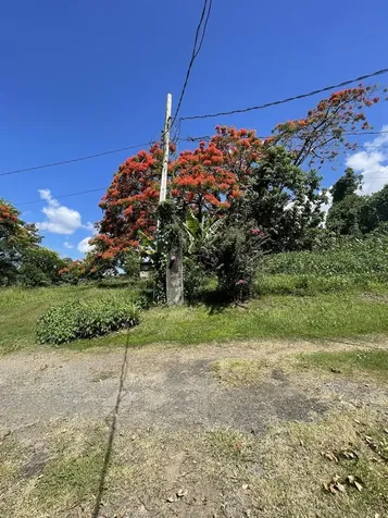 Camino Entrada Al Lago San Juan PR 00926