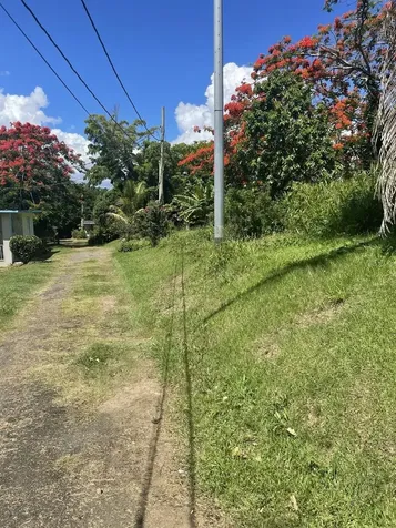 Camino Entrada Al Lago San Juan PR 00926