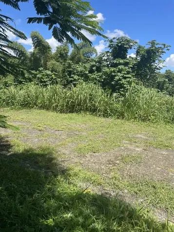 Camino Entrada Al Lago San Juan PR 00926