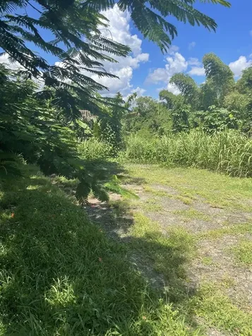 Camino Entrada Al Lago San Juan PR 00926