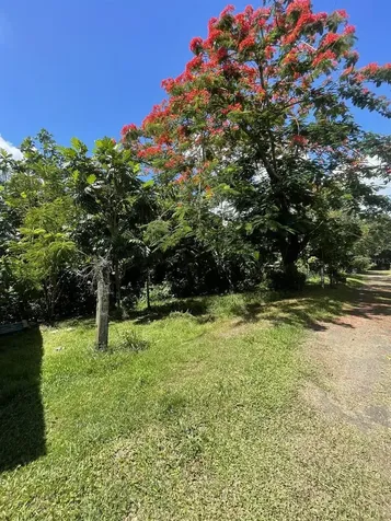 Camino Entrada Al Lago San Juan PR 00926