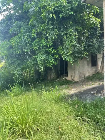 Camino Entrada Al Lago San Juan PR 00926