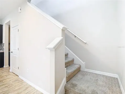 6717 Citrus Creek Lane Tampa FL 33625