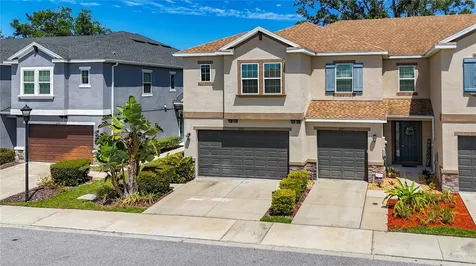 6717 Citrus Creek Lane Tampa FL 33625
