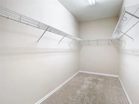 6717 Citrus Creek Lane Tampa FL 33625