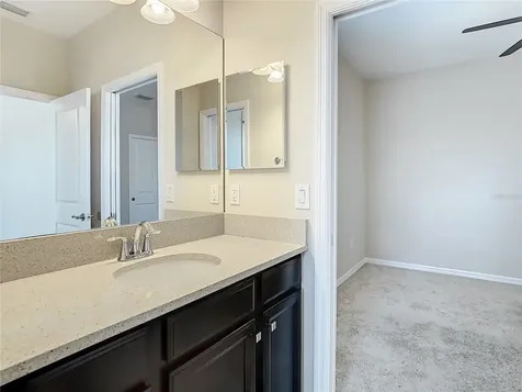 6717 Citrus Creek Lane Tampa FL 33625
