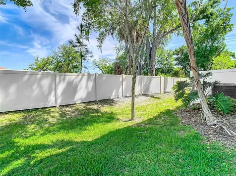 6717 Citrus Creek Lane Tampa FL 33625