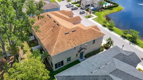 6717 Citrus Creek Lane Tampa FL 33625