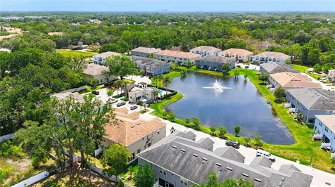 6717 Citrus Creek Lane Tampa FL 33625