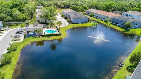 6717 Citrus Creek Lane Tampa FL 33625