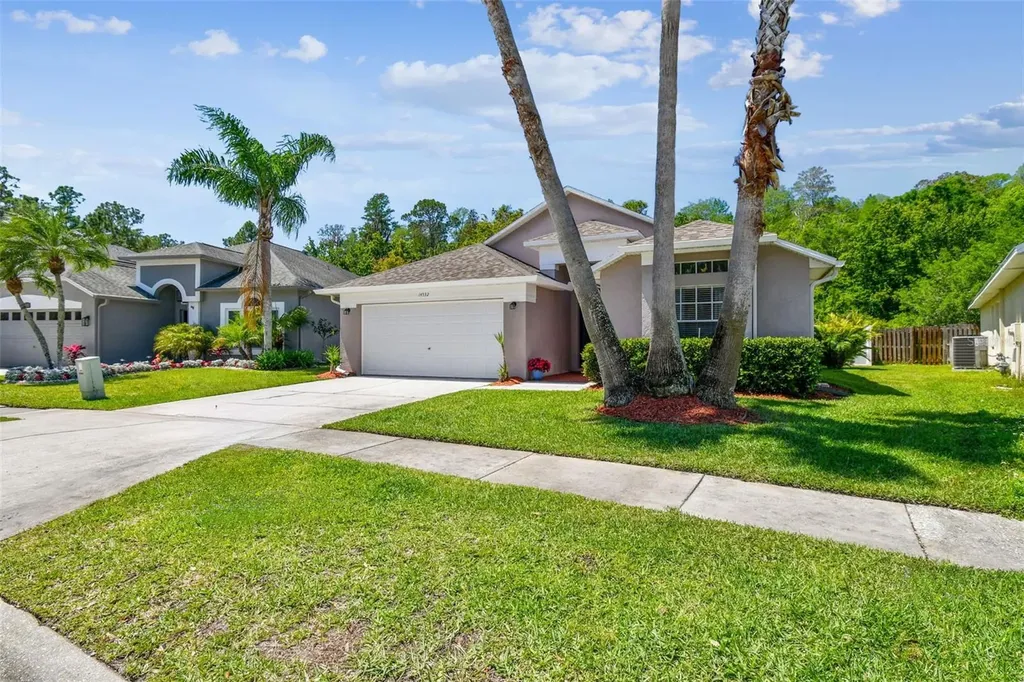 14532 Weeping Elm Drive Tampa FL 33626