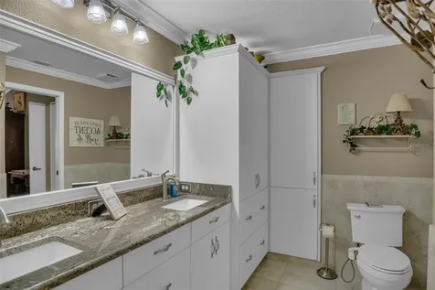3826 Muirfield Court Palm Harbor FL 34685