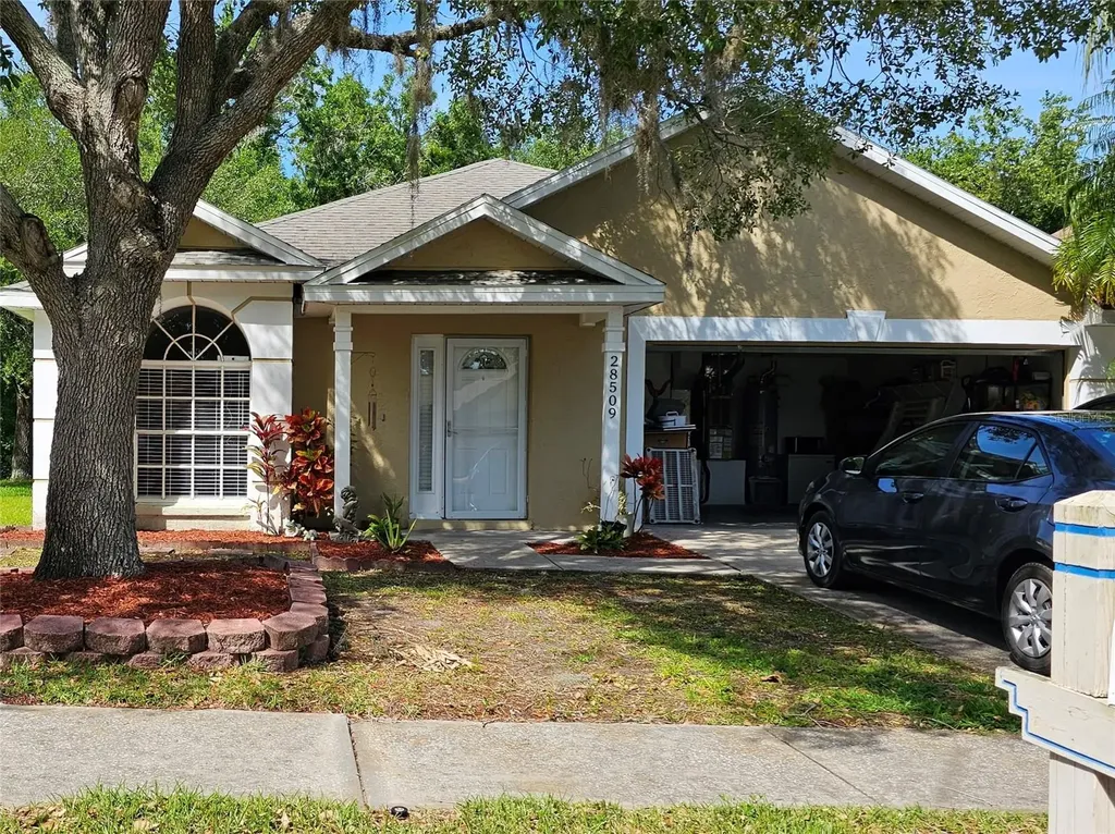 28509 Meadowrush Way Wesley Chapel FL 33543