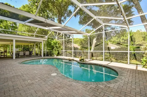 16706 Lake Eveland Place Lutz FL 33558