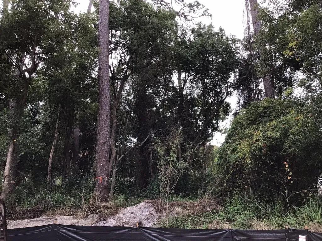 1294 Almaria Court Palm Harbor FL 34683