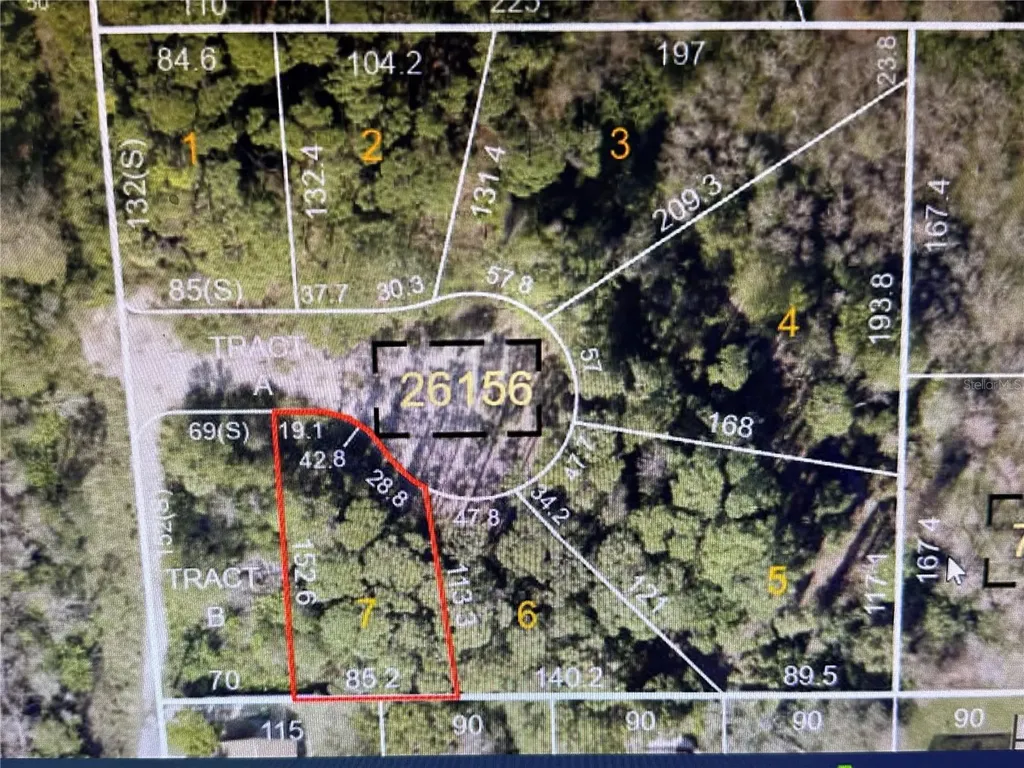 1294 Almaria Court Palm Harbor FL 34683
