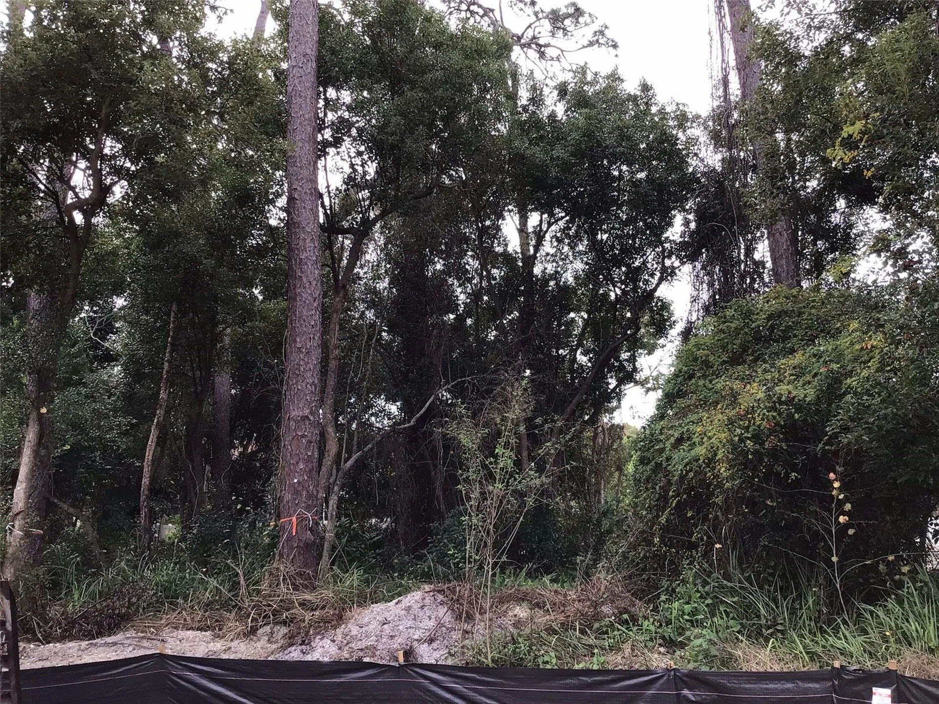 1294 Almaria Court Palm Harbor FL 34683