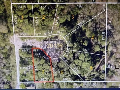 1294 Almaria Court Palm Harbor FL 34683