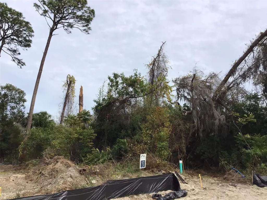 1299 Almaria Court Palm Harbor FL 34683