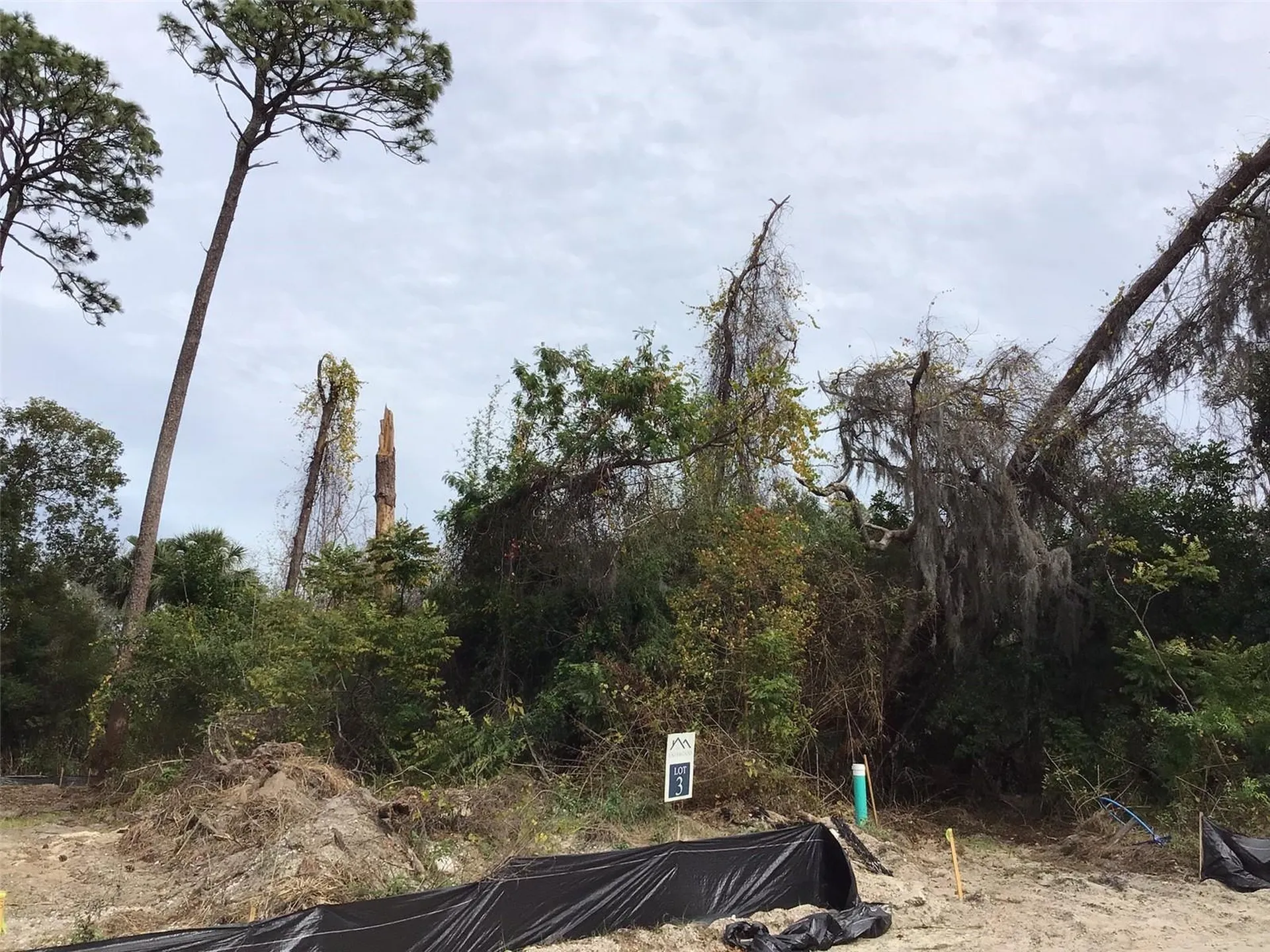 1299 Almaria Court Palm Harbor FL 34683