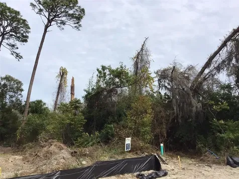 1299 Almaria Court Palm Harbor FL 34683