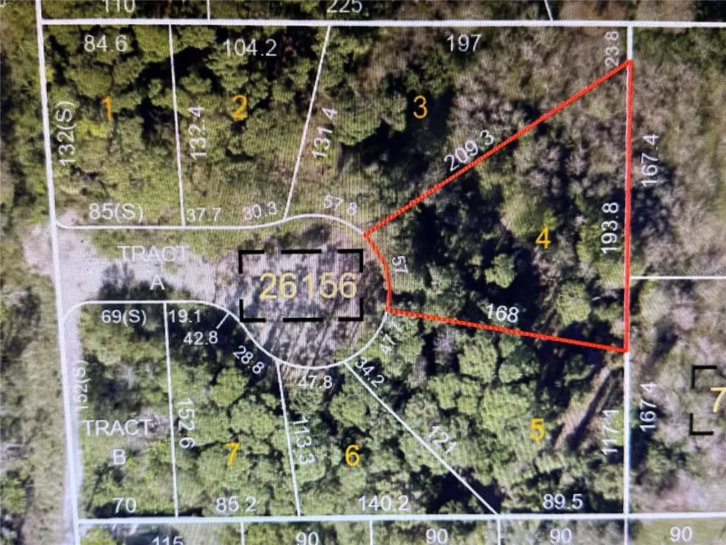 1305 Almaria Court Palm Harbor FL 34683