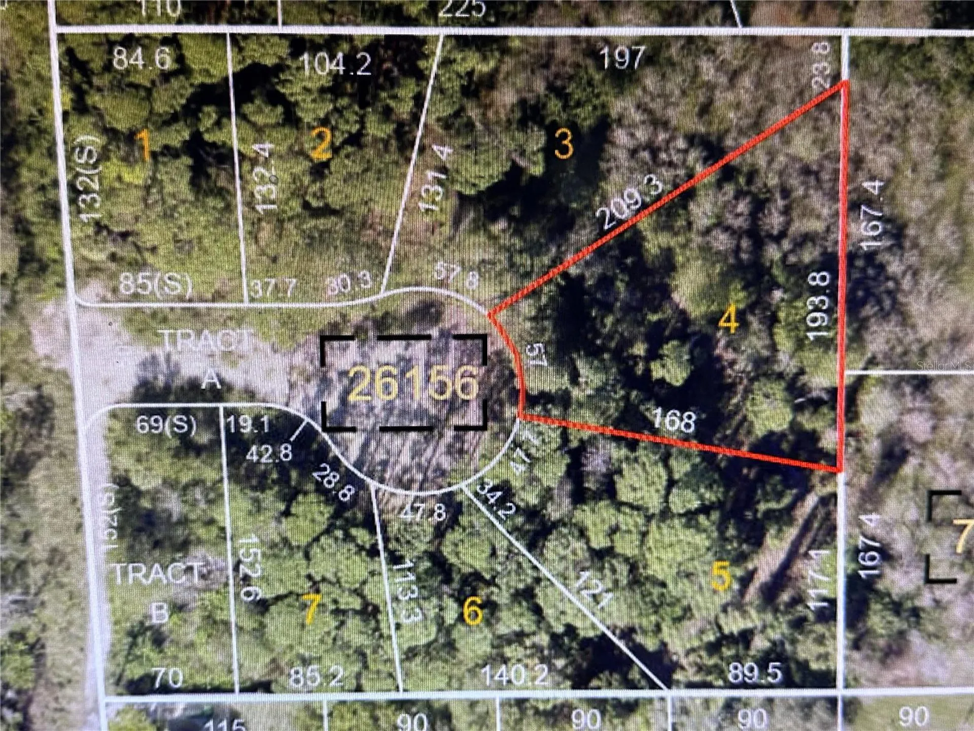 1305 Almaria Court Palm Harbor FL 34683