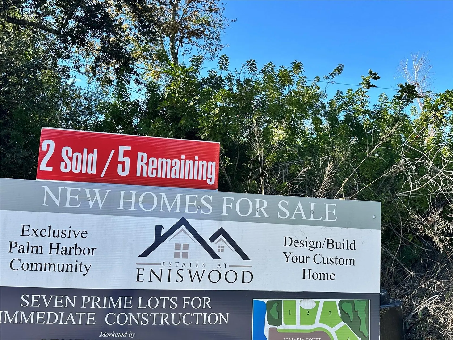 1305 Almaria Court Palm Harbor FL 34683