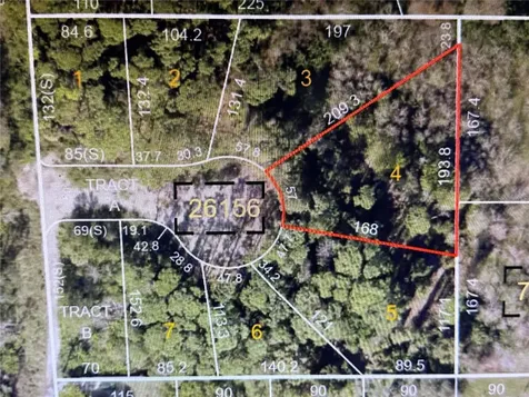 1305 Almaria Court Palm Harbor FL 34683