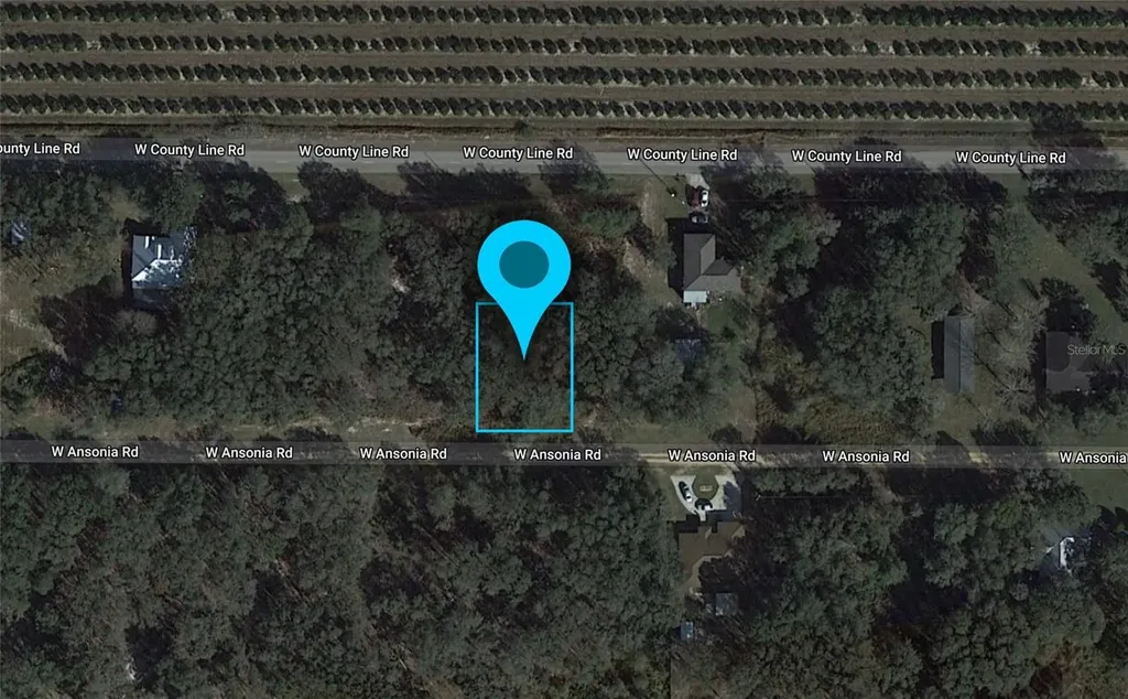 3180 W Ansonia Road Avon Park FL 33825