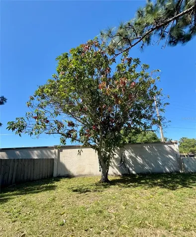 714 Golden Sunshine Circle Orlando FL 32807