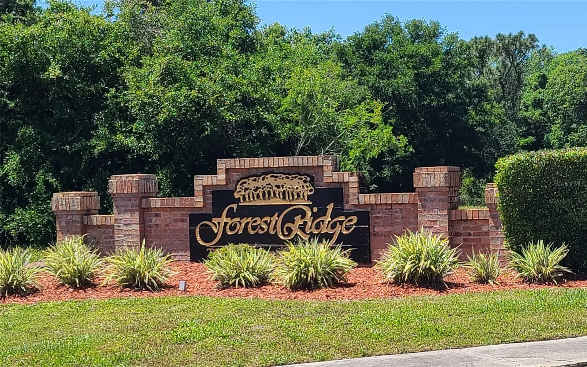 Wood Dove Avenue Tarpon Springs FL 34689