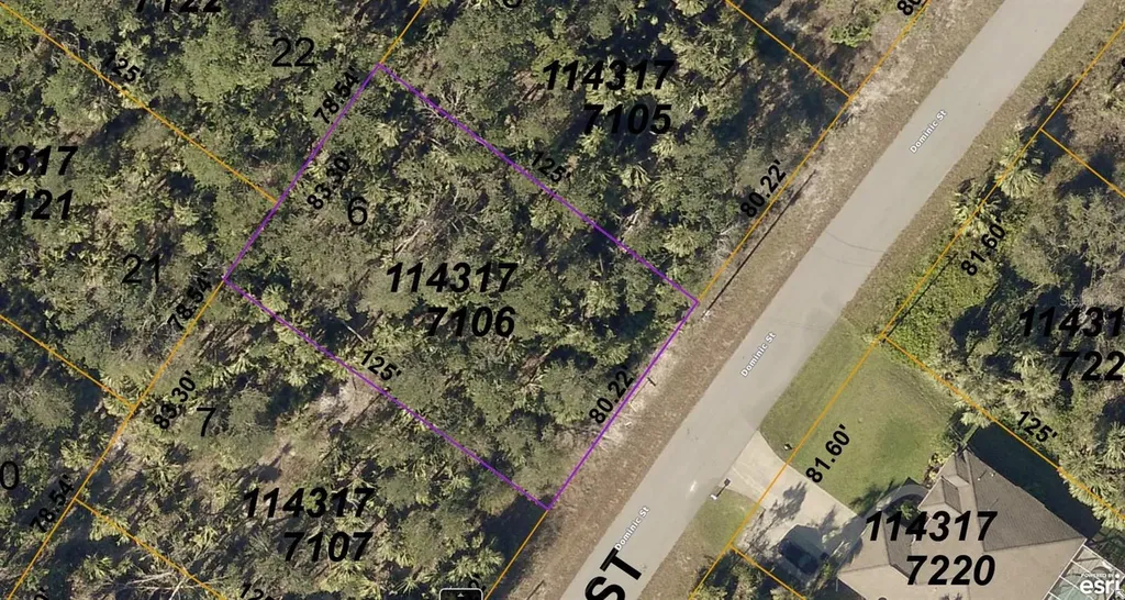 1143177106 Dominic Street North Port FL 34288