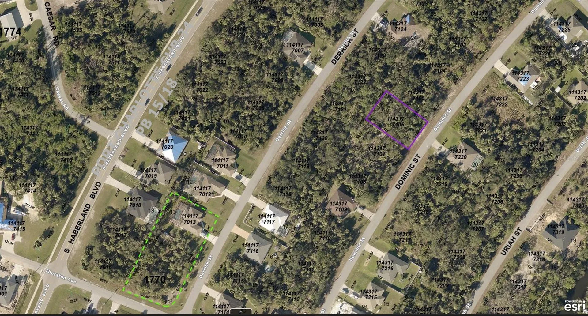 1143177106 Dominic Street North Port FL 34288