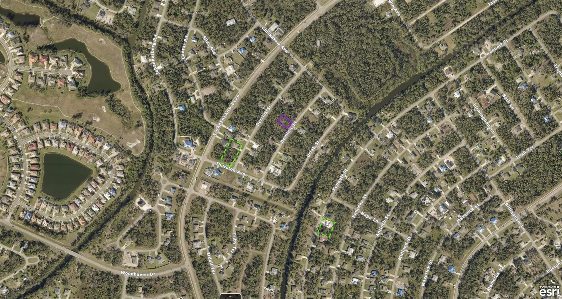 1143177106 Dominic Street North Port FL 34288