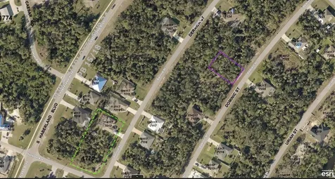 1143177106 Dominic Street North Port FL 34288