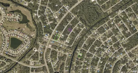 1143177106 Dominic Street North Port FL 34288