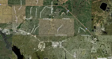 1143177106 Dominic Street North Port FL 34288