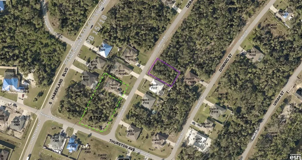 1141177118 Derrick Street North Port FL 34288