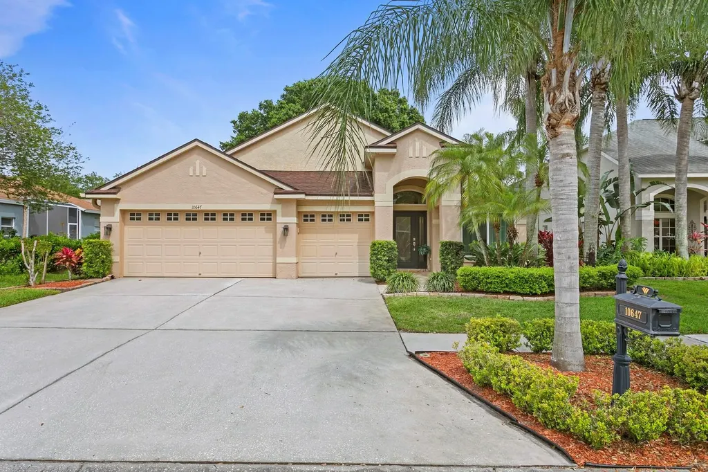 10647 Weybridge Drive Tampa FL 33626