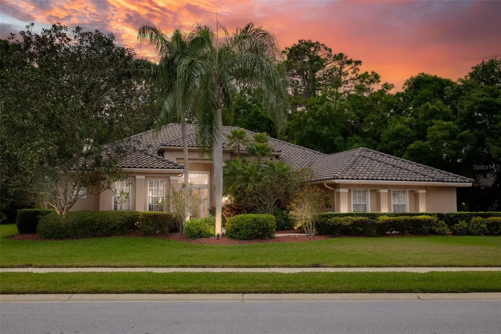 4974 Turtle Creek Trail Oldsmar FL 34677