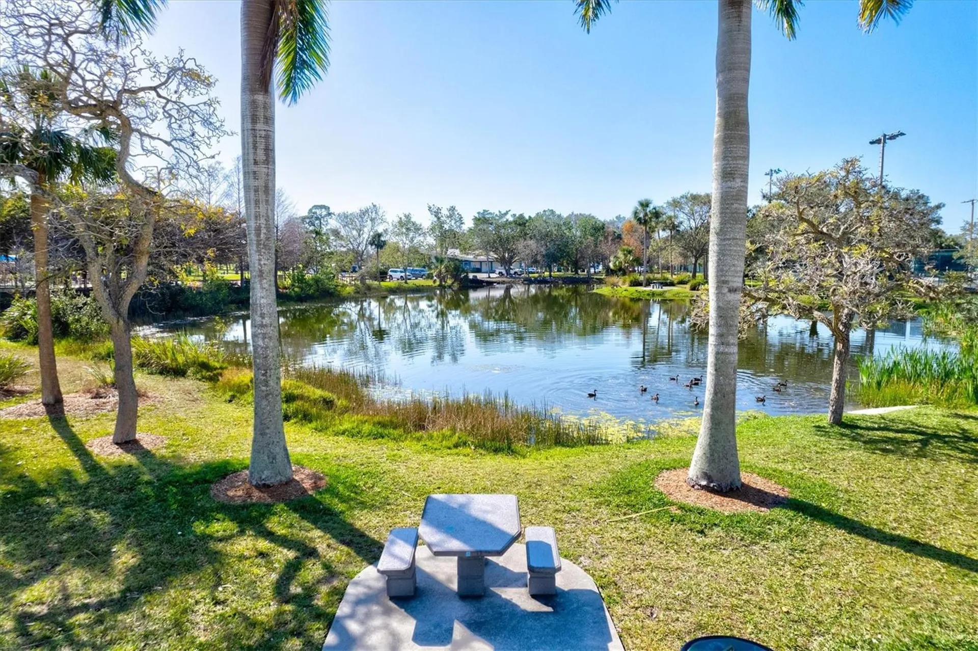 Sarasota FL 34237